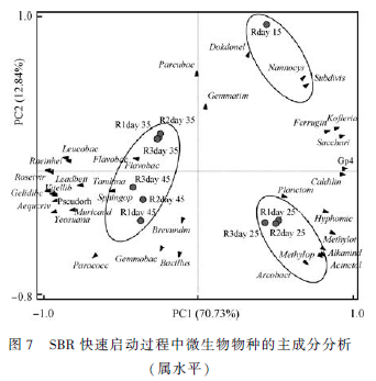 高 盐废水生物处理工艺